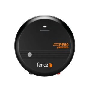 Elektrinio piemens impulsų generatorius - PE